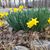 Wanda Morris Overstreet's profile image