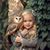 Joette Rockwell's profile image