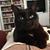 Joyce Lifsey Acton's profile image