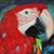 Deb Thrift's profile image