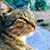 Elizabeth Adams's profile image