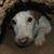 Jenni Glanville Mitchell's profile image