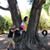 Lisa Dunn Thacker's profile image