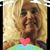 Eva Dionne's profile image