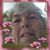 Diane Decker's profile image
