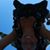 M Tracie Giammanco's profile image