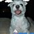 Jodi Reinschmidt's profile image