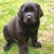 Lisa Drapeau Gordon's profile image
