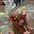 Joann Anderson's profile image