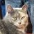 LuAnn Eberly Crim's profile image
