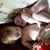 Sherrie Childers's profile image