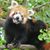 Mary Ann Conrad's profile image