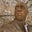 Rob Crawford's profile image