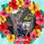 Denise Pisarski Rosby's profile image
