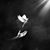 Annette Mcpherson's profile image