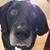 Evelyn Matlock's profile image
