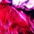 Christine Manzari's profile image