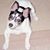 Debbie Wright's profile image