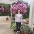 Katie Bonicatto's profile image
