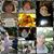 Kaylene Summers Gibson's profile image