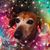Cathy Reese Gregory's profile image