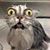 Beth Huey's profile image