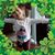 Mary Pasiechnik's profile image