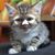 Valarie Blum's profile image