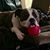 Tracy Reedy Johnson's profile image