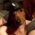 John Brand's profile image