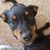 Heidi Wysocki's profile image
