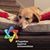 Deborah Bronow's profile image