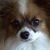 Warren Pickerel's profile image