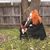 Olivia Kate Satala's profile image