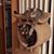 Kathy Conway Watson Stachowski's profile image