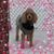 Crystal Badyna's profile image