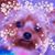 Heather Landry's profile image