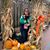 Donna Brady Portuesi's profile image