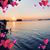 Debra Powell's profile image
