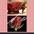 Marilu Rios's profile image