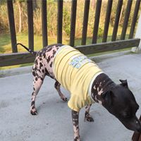 Anne Burr's profile image