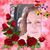 Redbear Alaska's profile image
