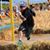 Anrique Traveling-Chef Narciso's profile image