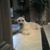 Dale McCune's profile image