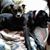 Donna Kluchinsky's profile image