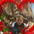 Kim Bruske's profile image