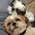 Jessie Gray's profile image