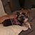 Tammie Rothenbuhler's profile image