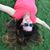 Heylie Hubbes Eigen's profile image