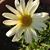 Angel Burkman's profile image
